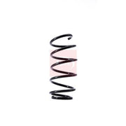 Apec Front Suspension Coil Spring ACS1503