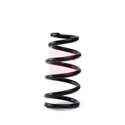 Apec 2 x Suspension Springs ACS2019
