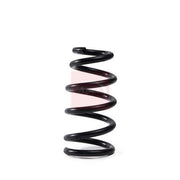 Apec Rear Suspension Coil Spring ACS2019