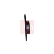 Apec 2 x Solid Rear Brake Discs DSK2612