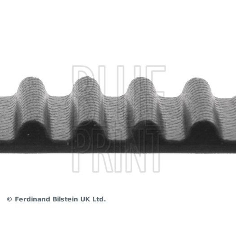 Blue Print Timing Belt Cambelt 107 Teeth ADN17516