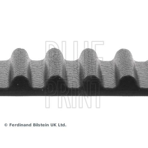 Blue Print Timing Belt Cambelt 107 Teeth ADN17516