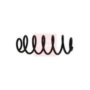Apec Rear Suspension Coil Spring ACS1953