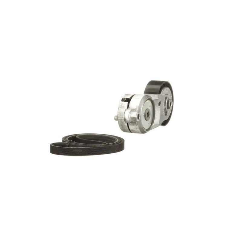 Gates V-Ribbed Belt Set K013PK870