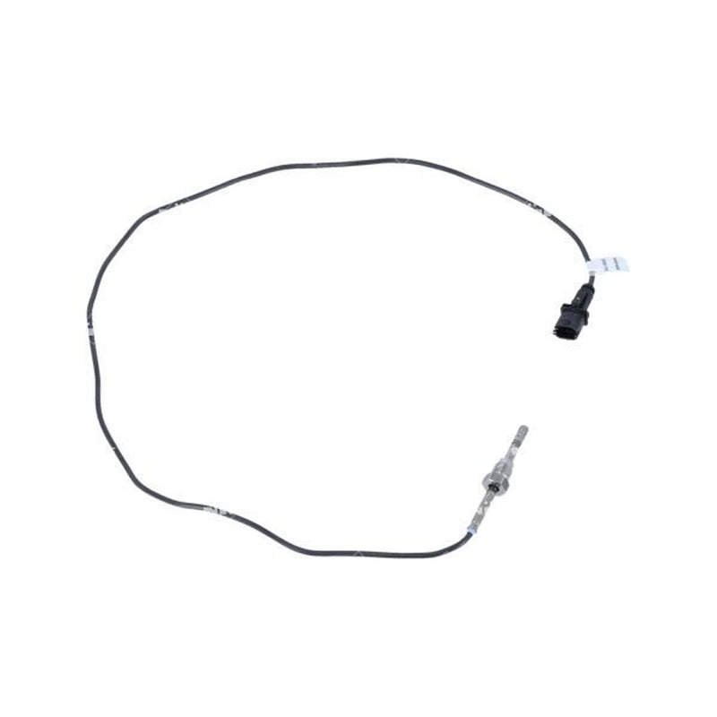 NRF Exhaust Gas Temperature Sensor before soot particulate f 707163