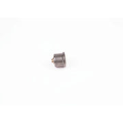 Bosch Engine Control Valve 2 418 552 105