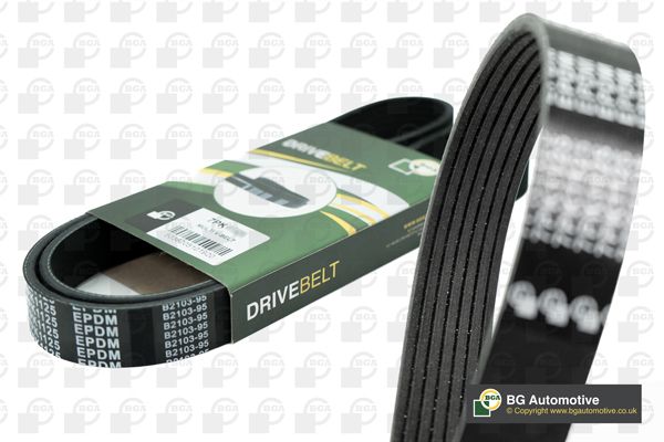 BGA Multi V-Ribbed Drive Belt