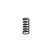 Bosch Compression Spring 9 411 034 650