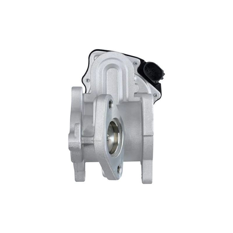 Hella Exhaust Gas Recirculation Valve 6NU 010 171-291