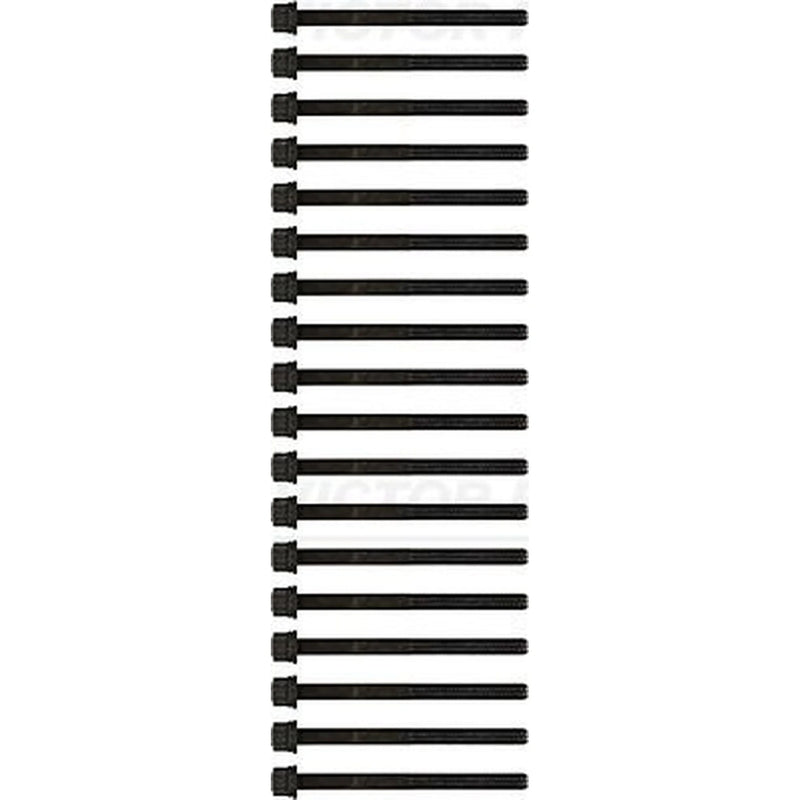 Victor Reinz Cylinder Head Bolt Set M12 14-55072-01