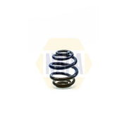 NAPA Rear Suspension Coil Spring NCS1296