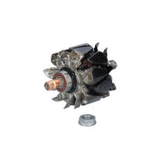 Valeo Alternator Rotor 593298
