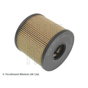 Blue Print Engine Oil Filter ADN12120