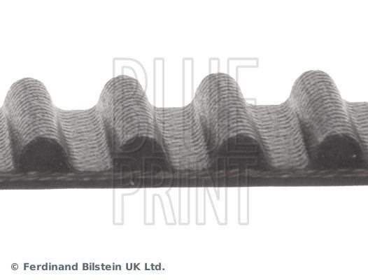 Blue Print Timing Belt Cambelt 110 Teeth