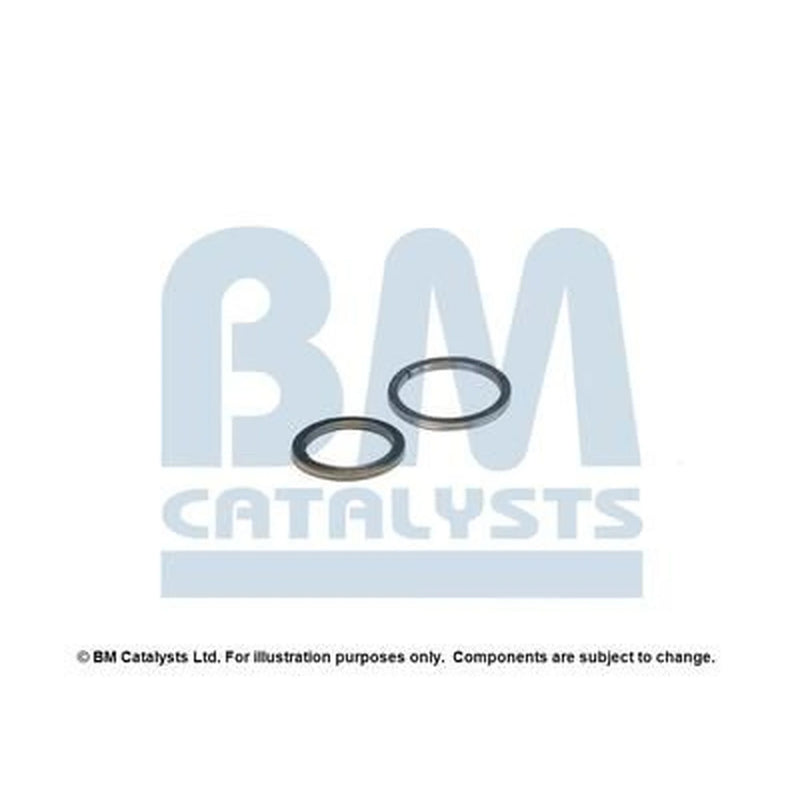 BM Catalysts Fitting Kit FK91493A FK91493A