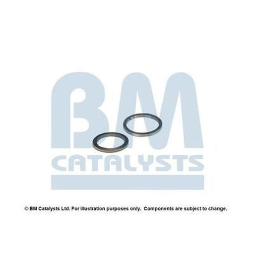 BM Catalysts Fitting Kit FK91493A FK91493A