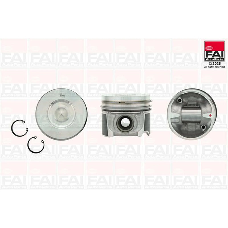 FAI Piston Cylinder Bore = PK250-000
