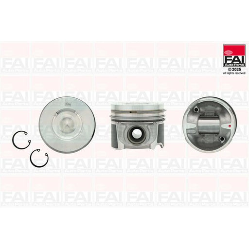 FAI Piston Cylinder Bore = PK250-000