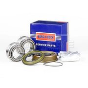 Borg & Beck Wheel Bearing Kit BWK617