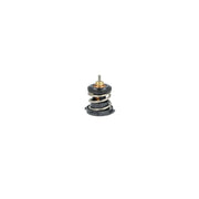 NRF Thermostat,Coolant 725225