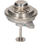 Pierburg Exhaust Gas Recirculation Valve 7.24809.27.0