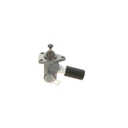 Bosch Fuel Pump Assembly 0 440 008 137