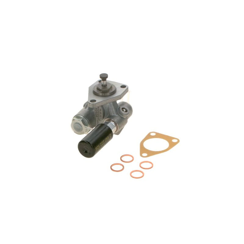 Bosch Fuel Pump Assembly 0 440 004 989