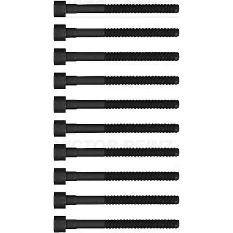 Victor Reinz Cylinder Head Bolt Set M10 14-13107-01