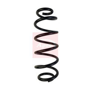 Apec Rear Suspension Coil Spring ACS1692