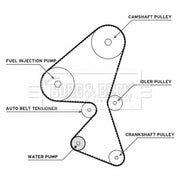 Borg & Beck Timing Belt & Water Pump Kit BTW1009