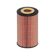 Hengst Engine Oil Filter E611H D442