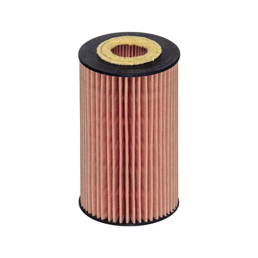 Hengst Engine Oil Filter E611H D442
