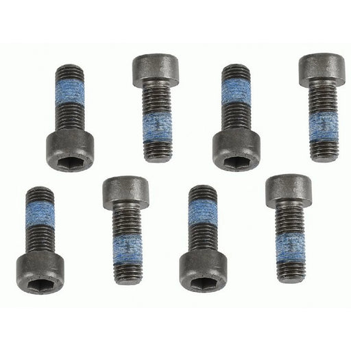 Sachs Dmf Screw Set (Special Order) 1874000053