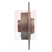 Apec 2 x Solid Rear Brake Discs SDK6665