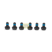 LuK Dmf Bolt Fitting Kit 411000710