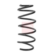 Apec 2 x Suspension Springs ACS2462
