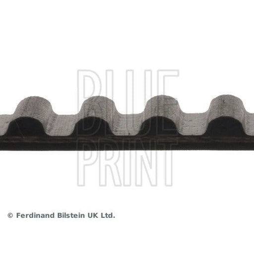 Blue Print Timing Belt Cambelt 120 Teeth ADC47502