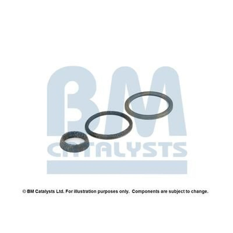 BM Catalysts Fitting Kit FK91643A FK91643A