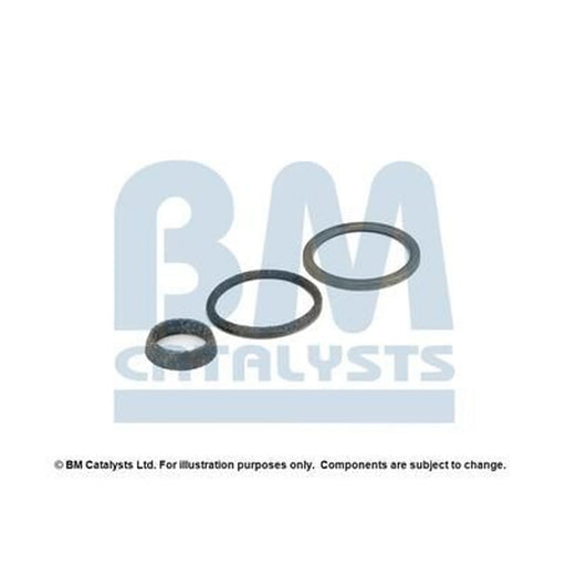 BM Catalysts Fitting Kit FK91067A FK91067A