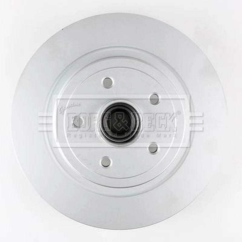 Borg & Beck 2 x Solid Rear Brake Discs BBD5974S