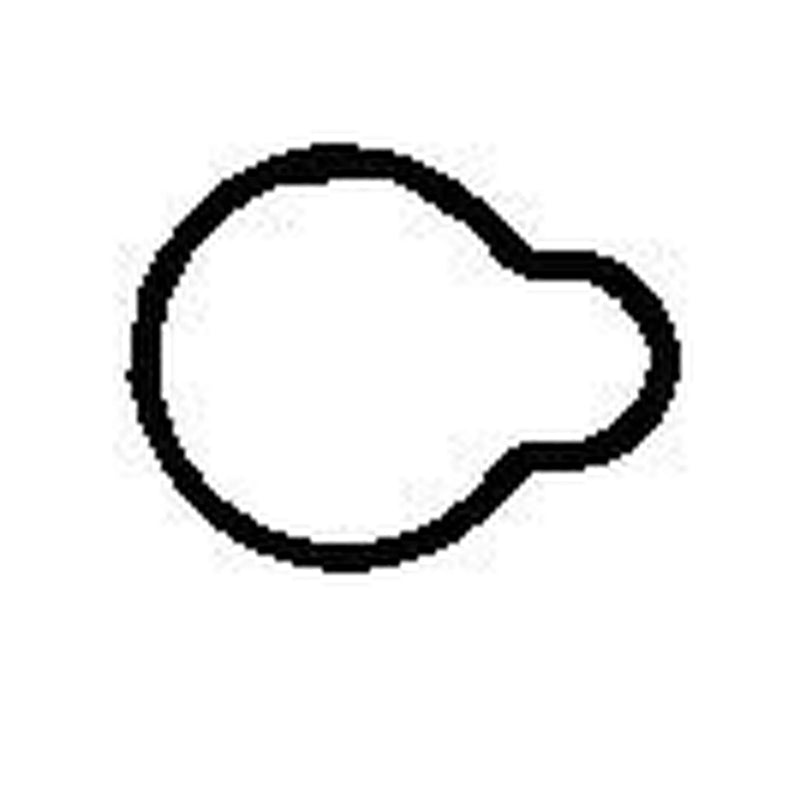 BGA Intake Manifold Gasket Thick MG5556