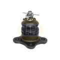 NAPA Ball Joint Front Right NST0030