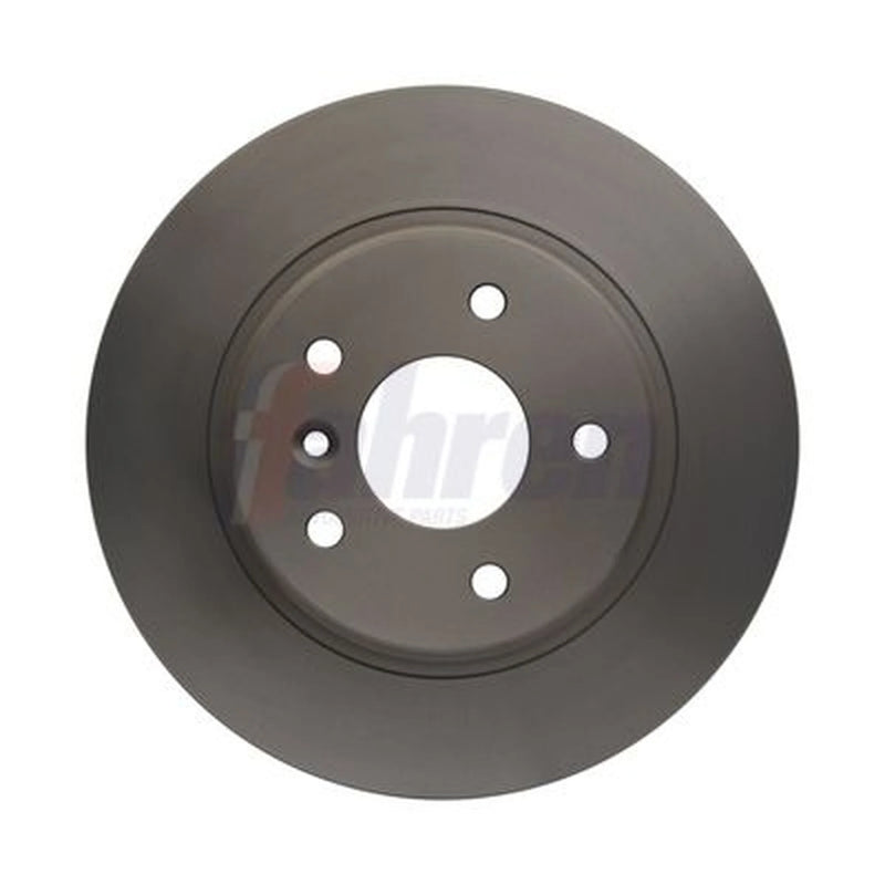 Fahren 2 x Solid Rear Brake Discs FBD6170