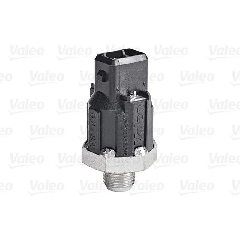 Valeo Engine Knock Sensor 255400