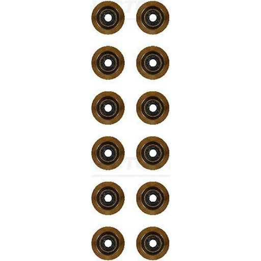Victor Reinz Valve Stem Seal Set ID High 12-17144-01