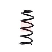 Apec Rear Suspension Coil Spring ACS2122
