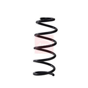 Apec 2 x Suspension Springs ACS2122