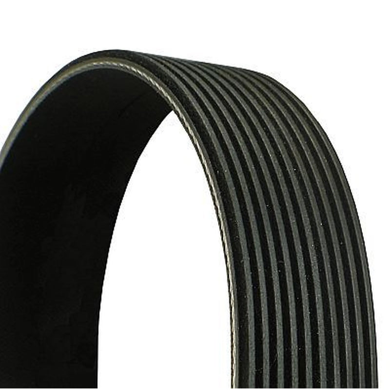 Continental CTAM Multi V-Ribbed Drive Belt 10PK1350 OE 21190827 20440169