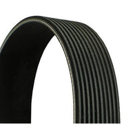 Continental CTAM Multi V-Ribbed Drive Belt 10PK1213 OE 5000681376