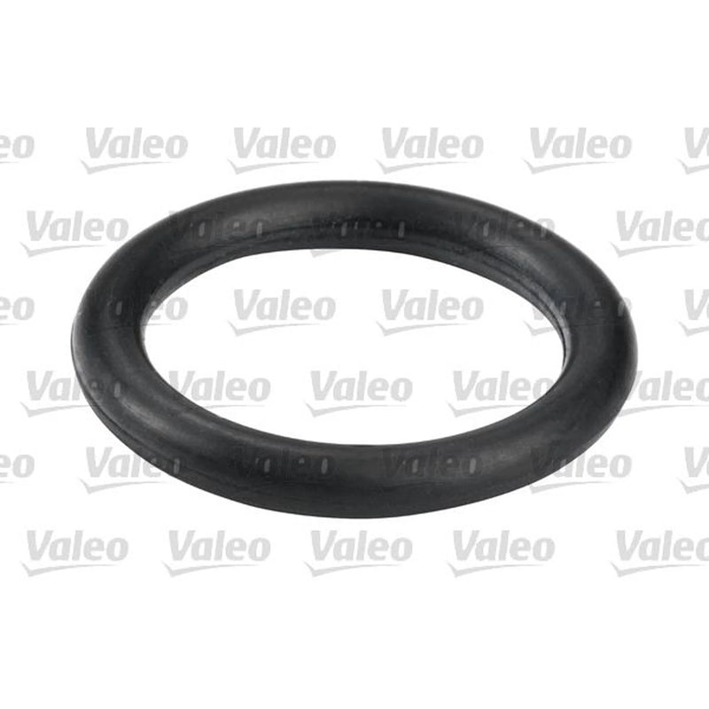 Valeo Fuel Filter Element 587557